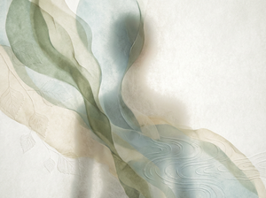 Ritenzione idrica addio: come la Betulla e gli estratti vegetali aiutano a drenare i liquidi in eccesso