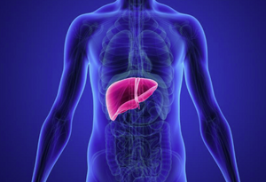 Glutatione: il principale alleato antiossidante per la salute e la rigenerazione del fegato