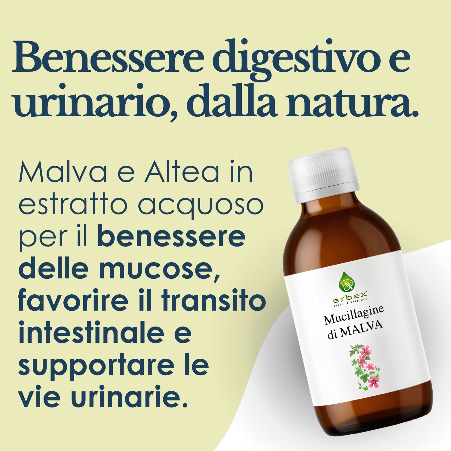 MALVA MUCILLAGINE 200ML