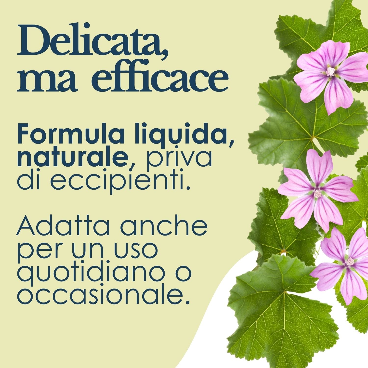 MALVA MUCILLAGINE 200ML