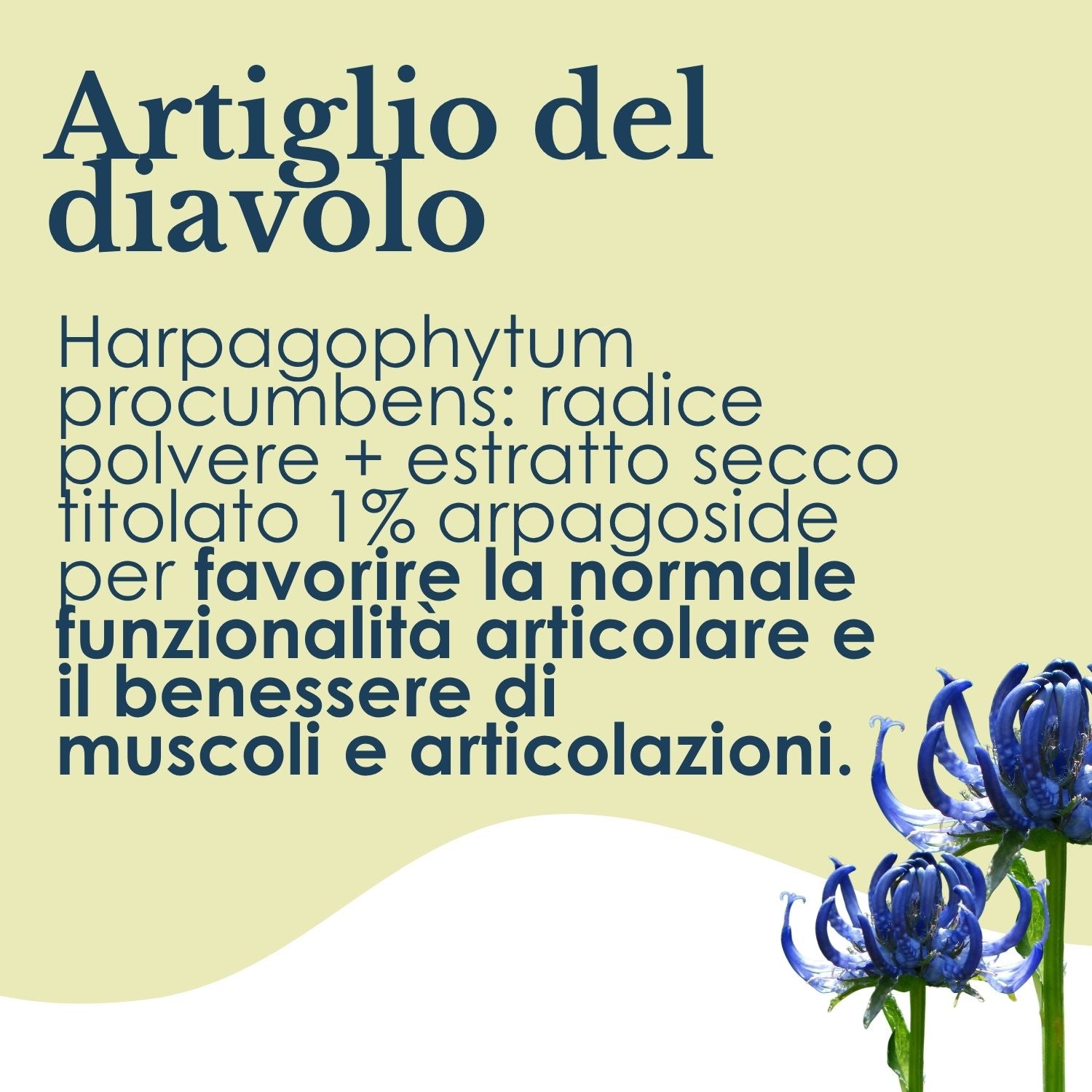 ARTIGLIO DIAVOLO 100 CAPSULE
