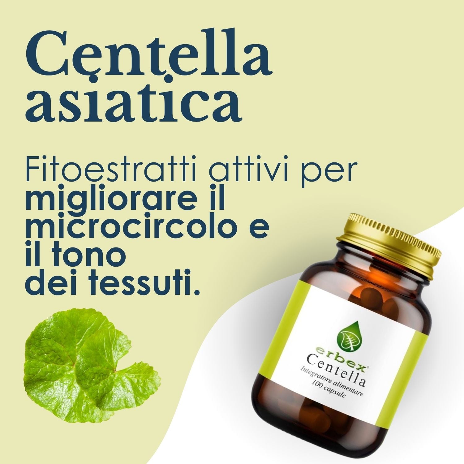CENTELLA 100 CAPSULE