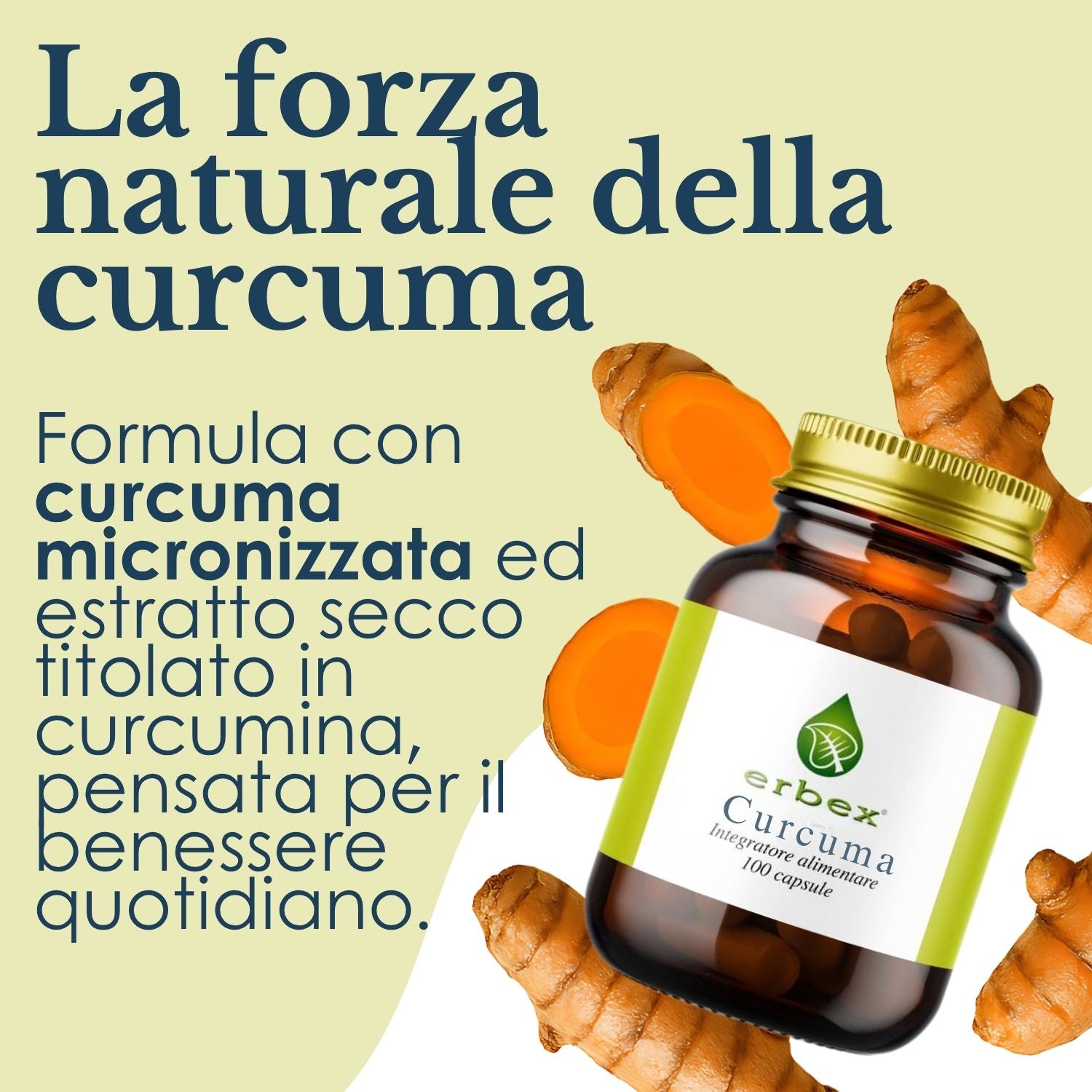 CURCUMA 100 CAPSULE