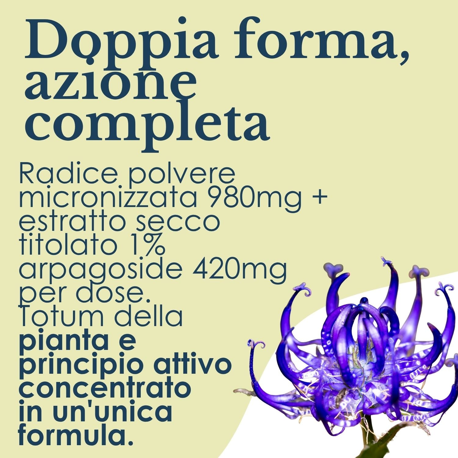 ARTIGLIO DIAVOLO 100 CAPSULE