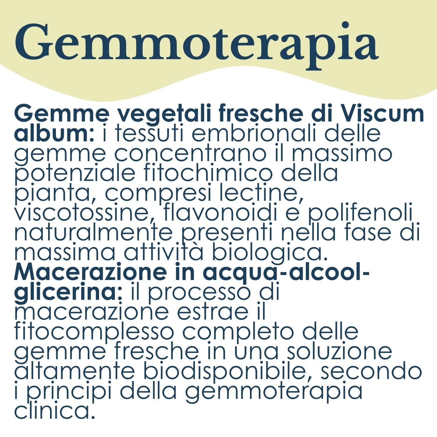VISCHIO GEMMODERIVATO 50ML