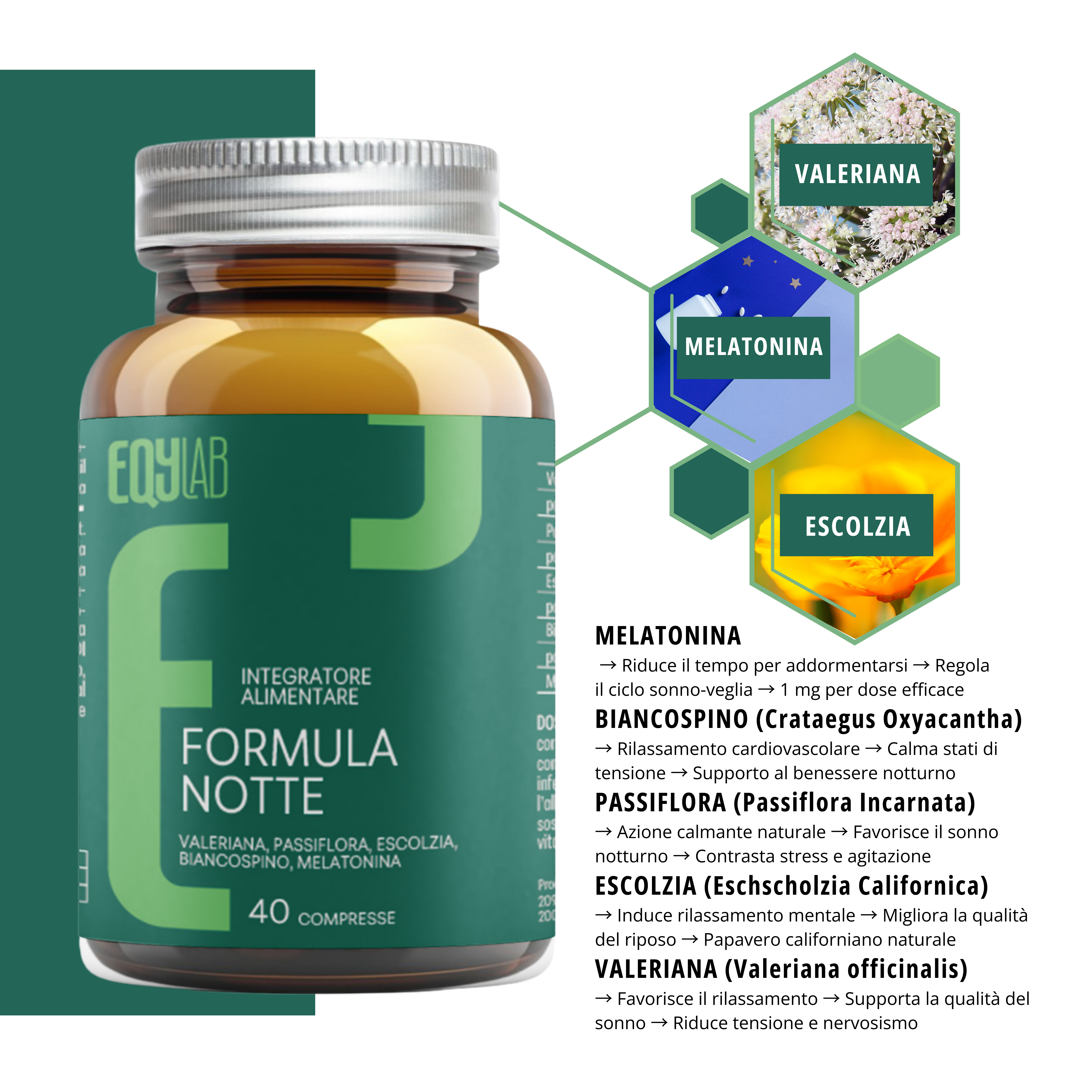 FORMULA NOTTE 40 COMPRESSE