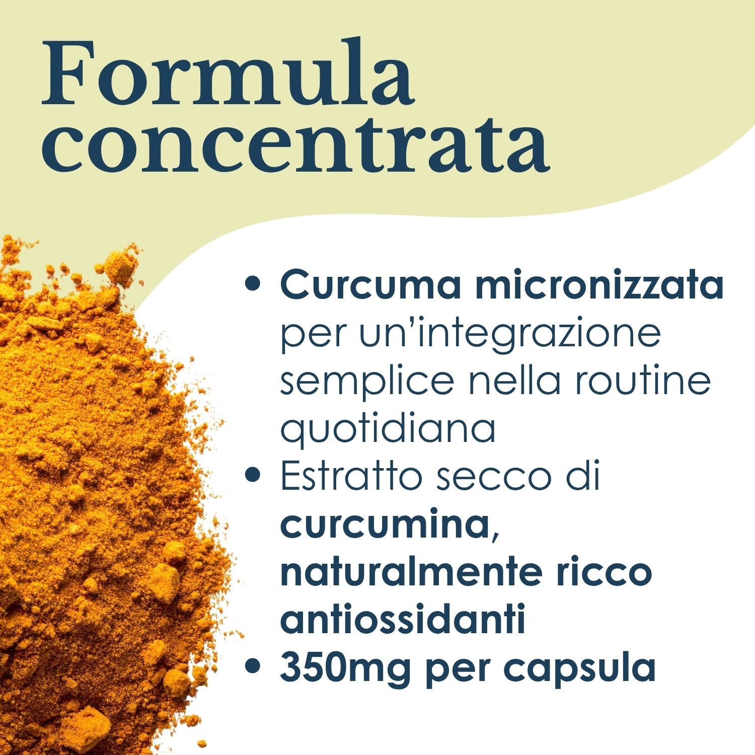 CURCUMA 100 CAPSULE