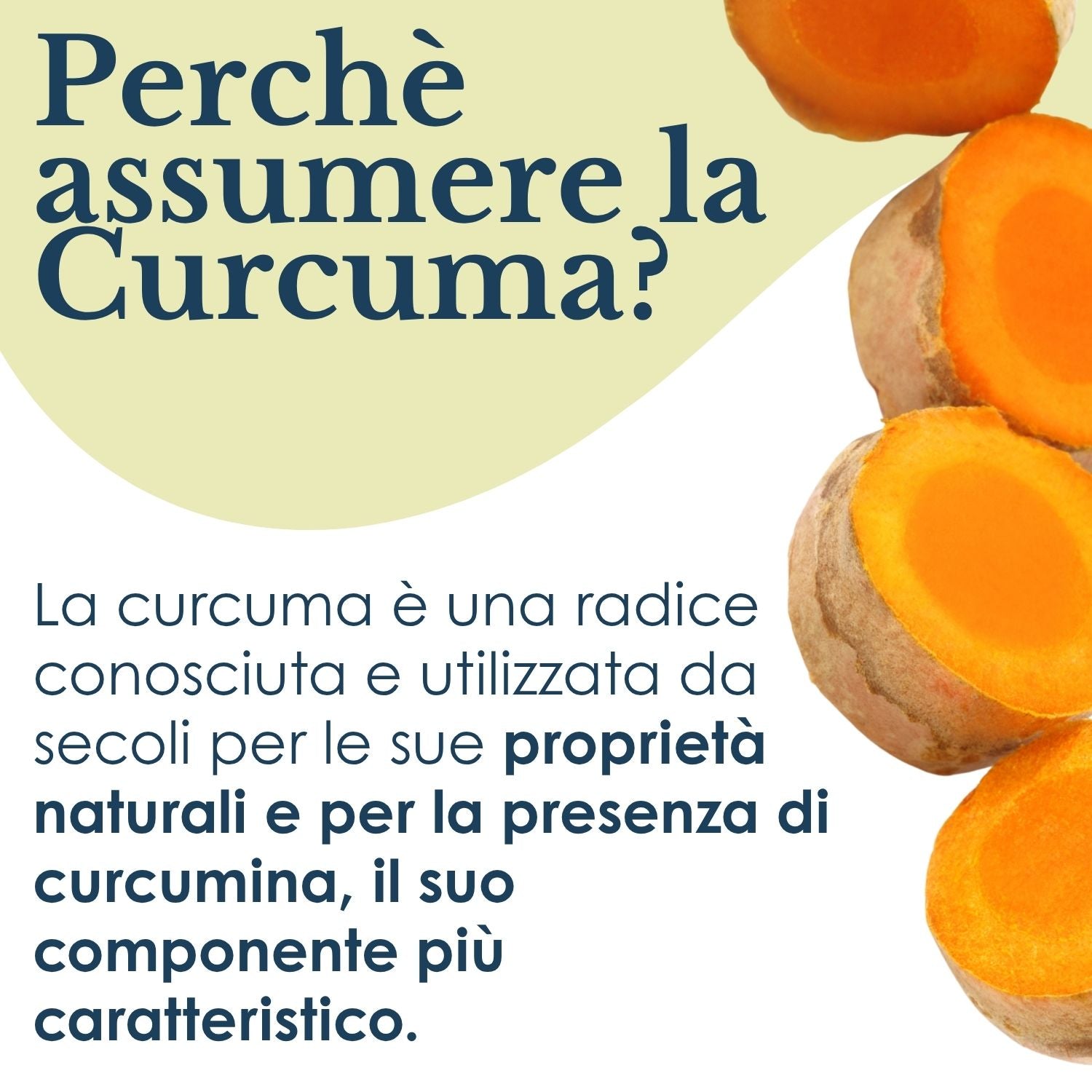 CURCUMA 100 CAPSULE