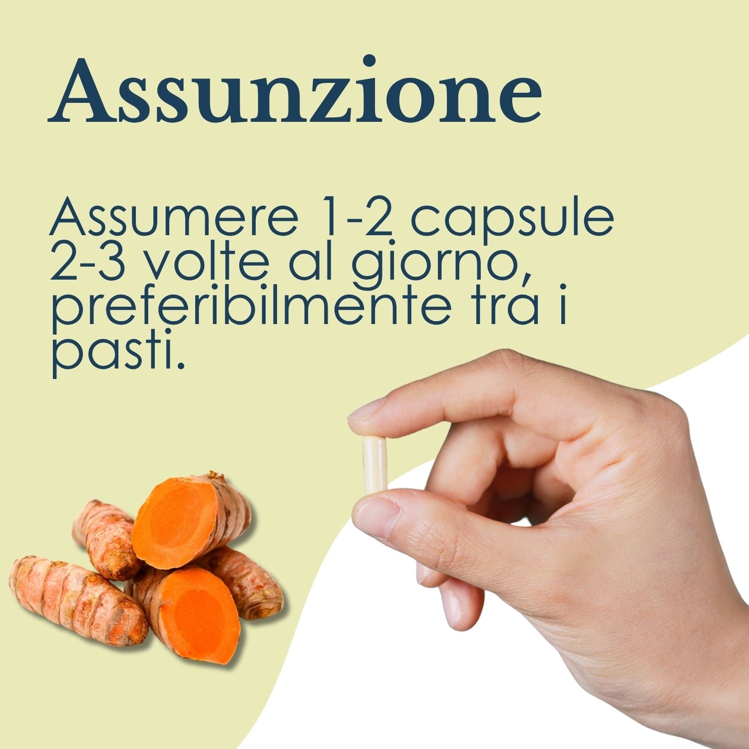 CURCUMA 100 CAPSULE