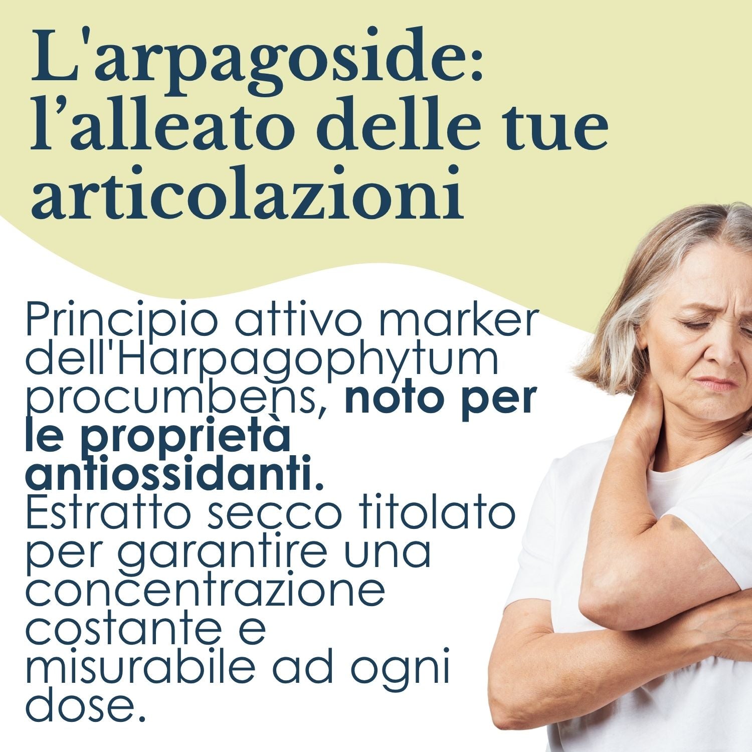 ARTIGLIO DIAVOLO 100 CAPSULE
