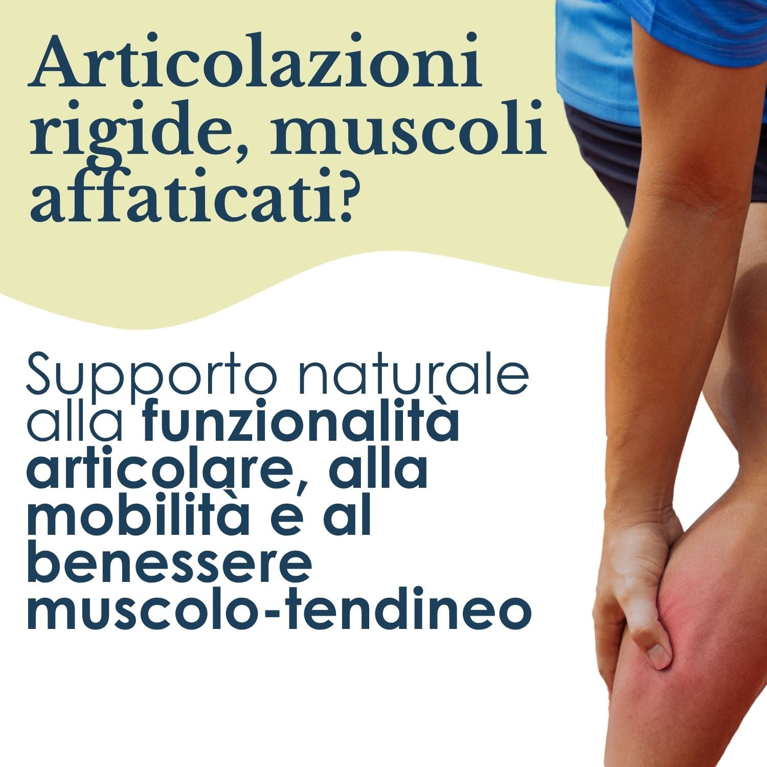 ARTIGLIO DIAVOLO 100 CAPSULE