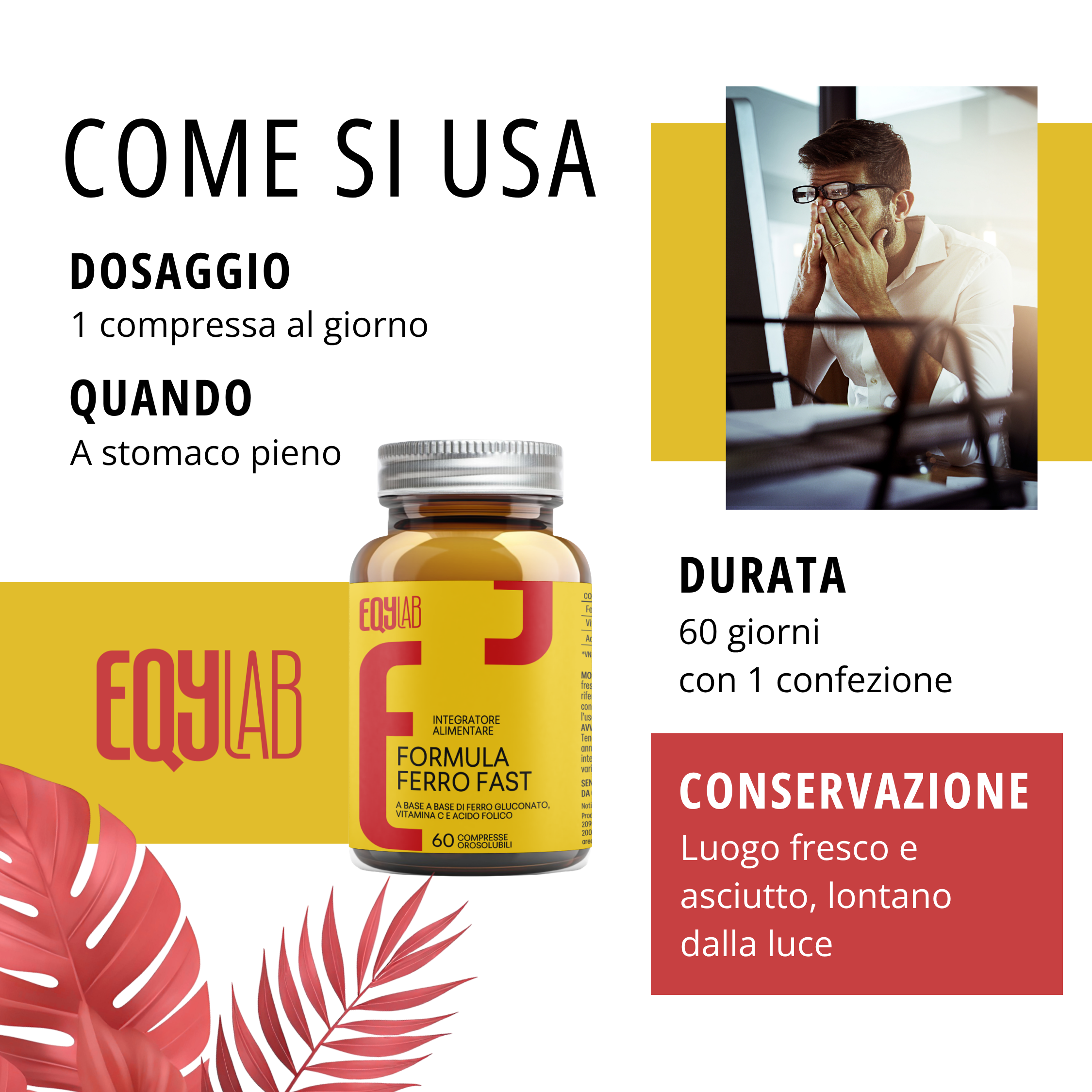 EQYLAB FORMULA FERRO FAST