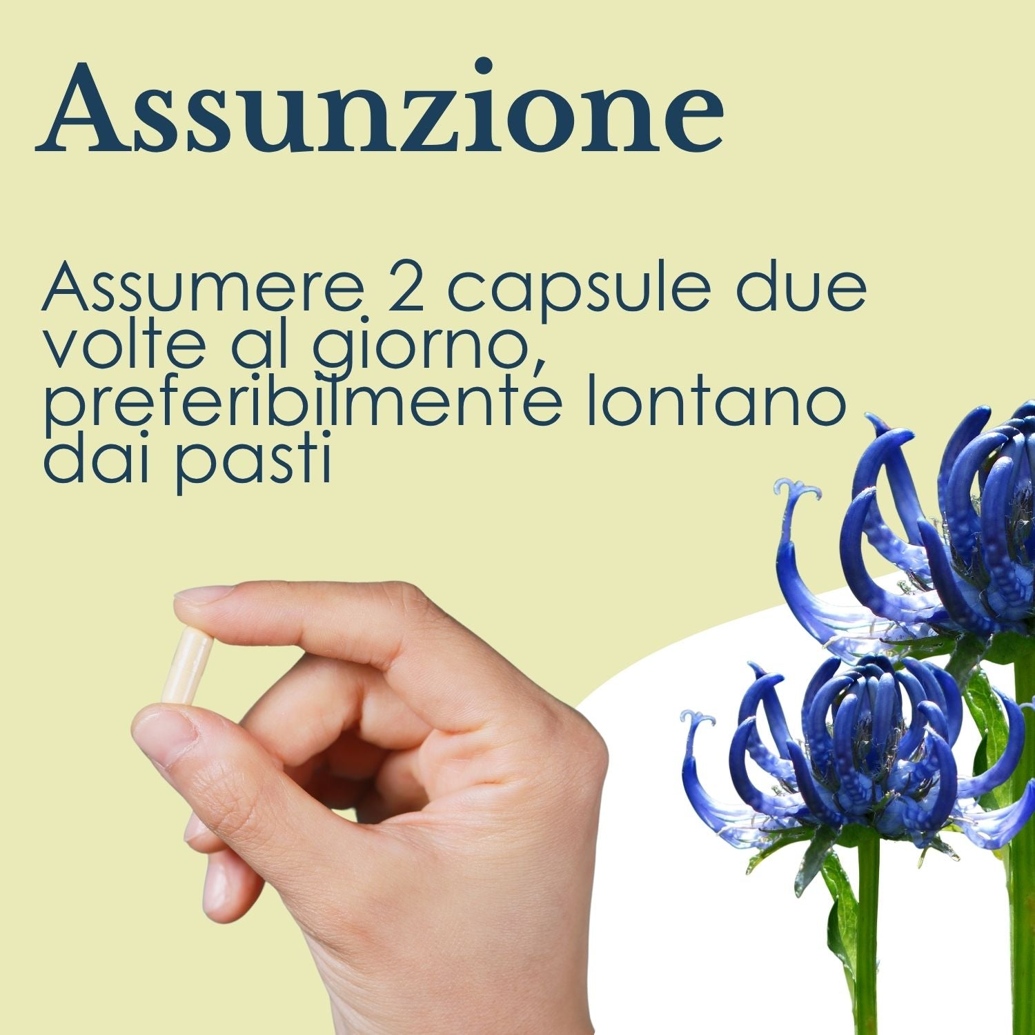 ARTIGLIO DIAVOLO 100 CAPSULE