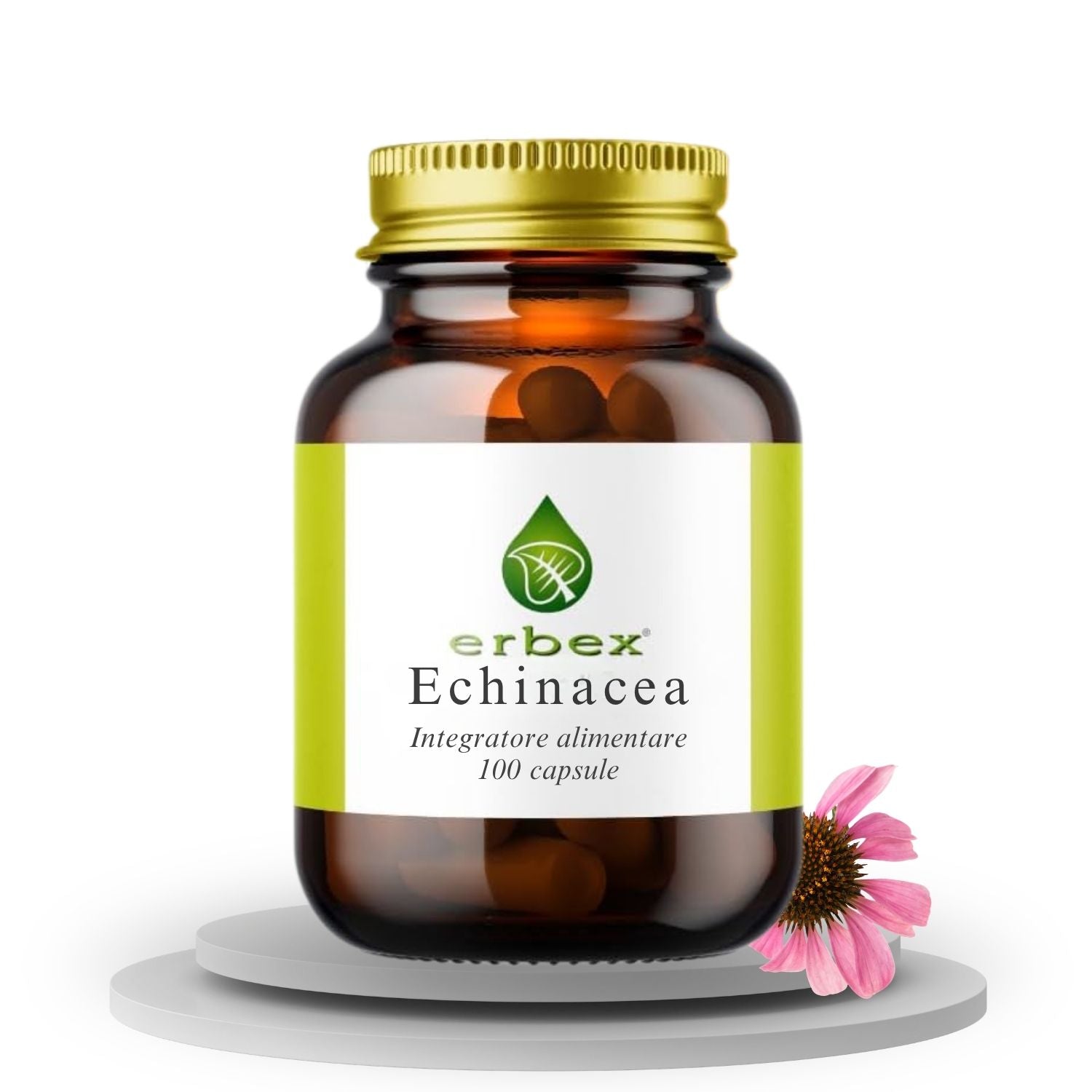 ECHINACEA 100 CAPSULE