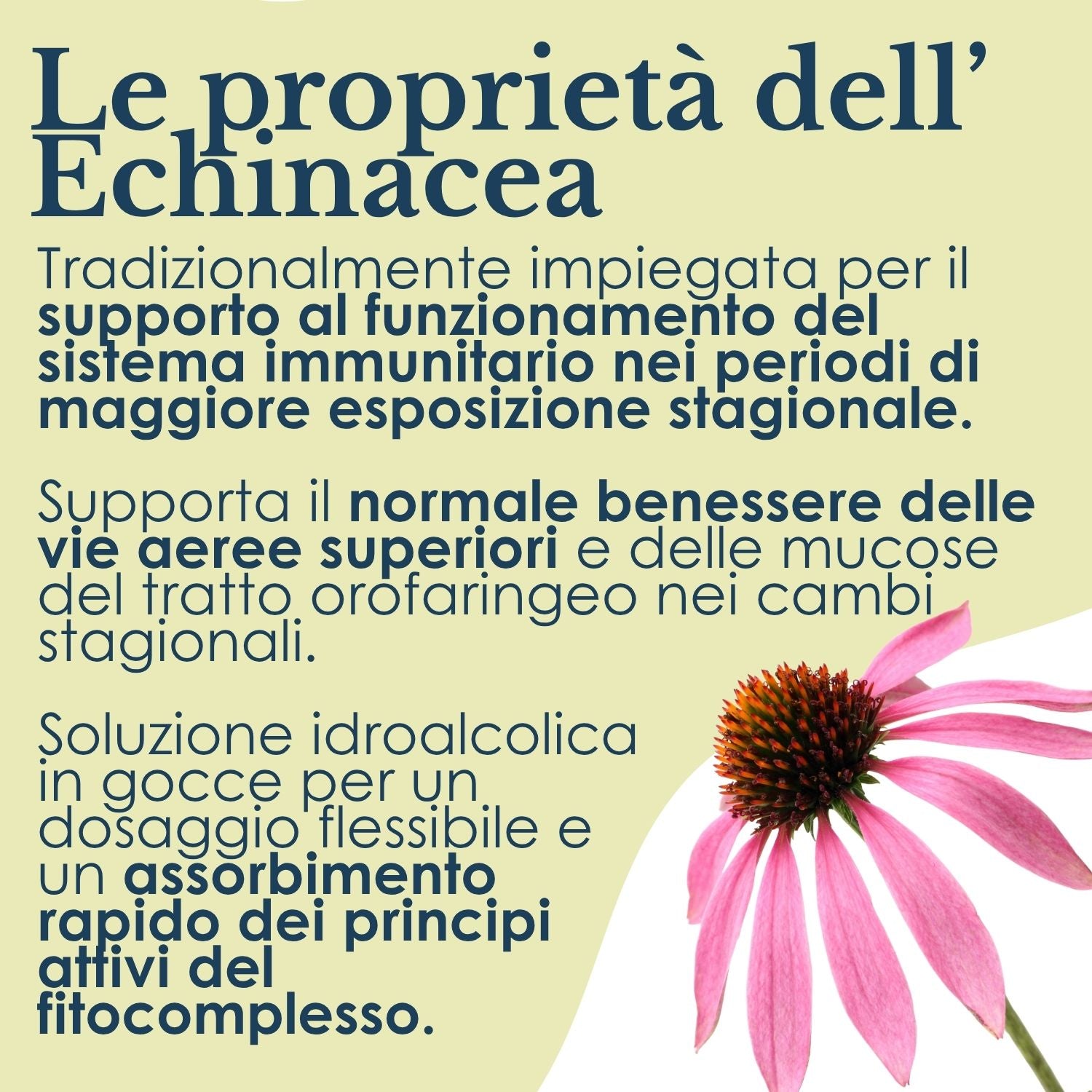 ECHINACEA SOLUZIONE IDROALCOLICA 50ML