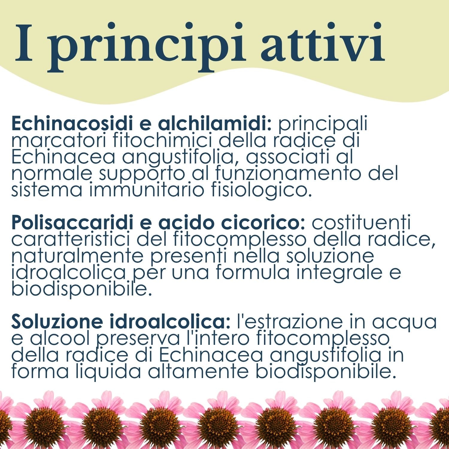 ECHINACEA SOLUZIONE IDROALCOLICA 50ML