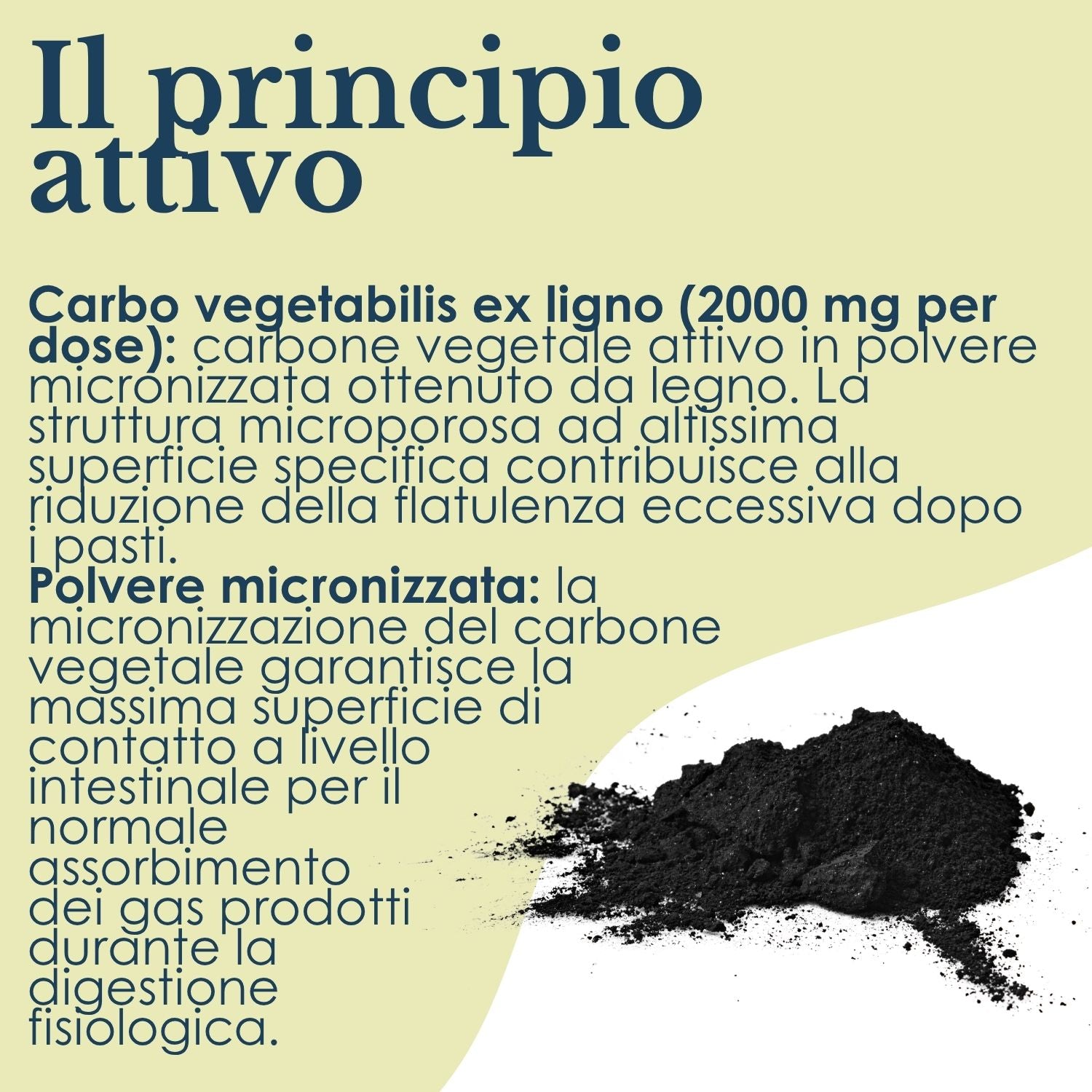 CARBONE VEGETALE 60CPR