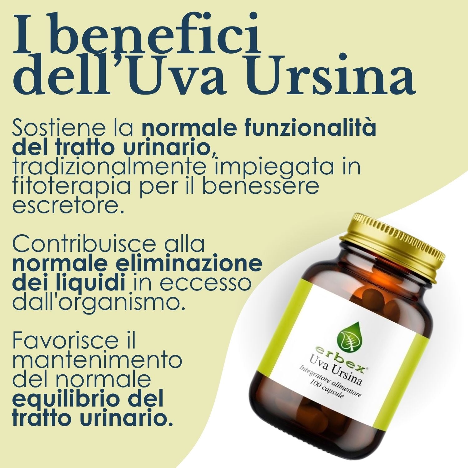 UVA URSINA 100 CAPSULE