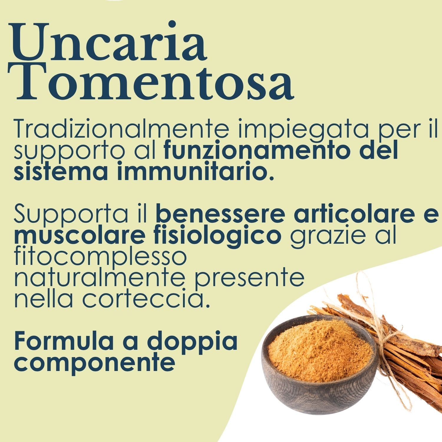 UNCARIA 100 CAPSULE