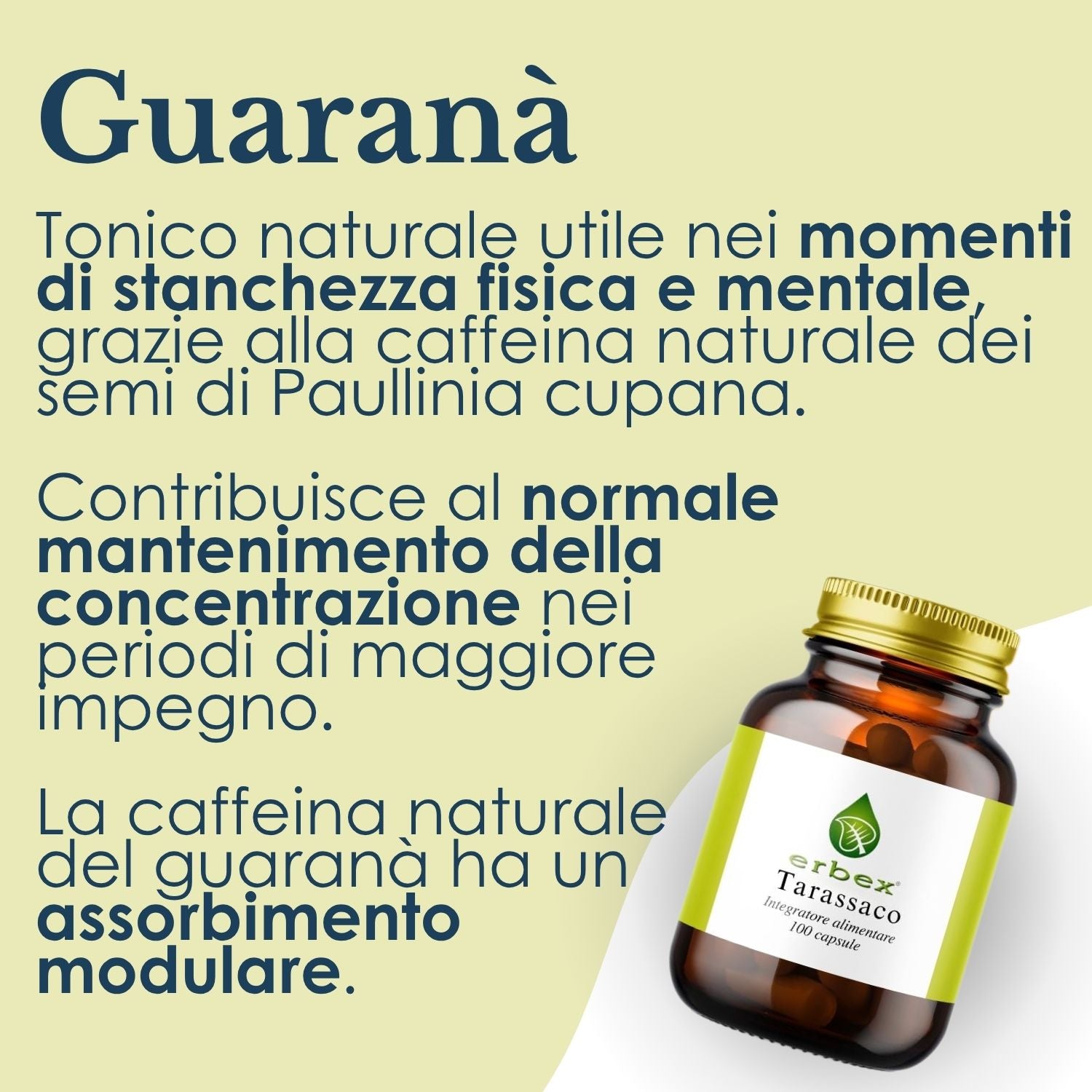 GUARANA 100 CAPSULE