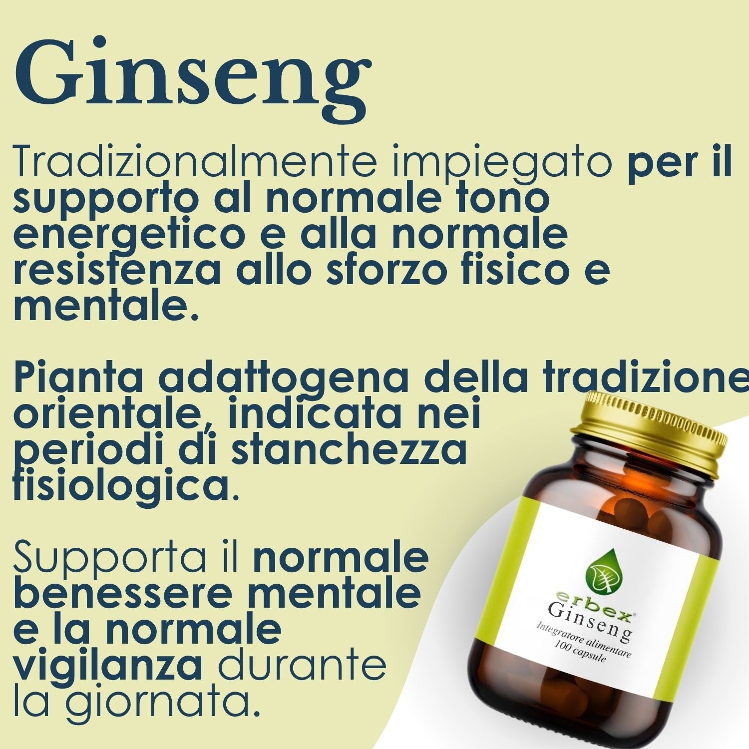 GINSENG 100 CAPSULE