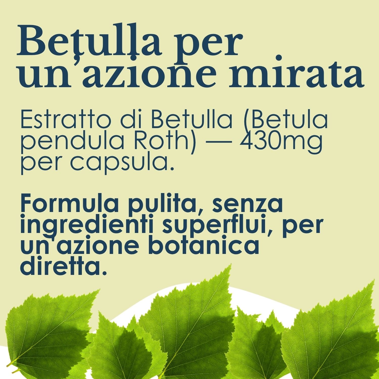 BETULLA 100 CAPSULE