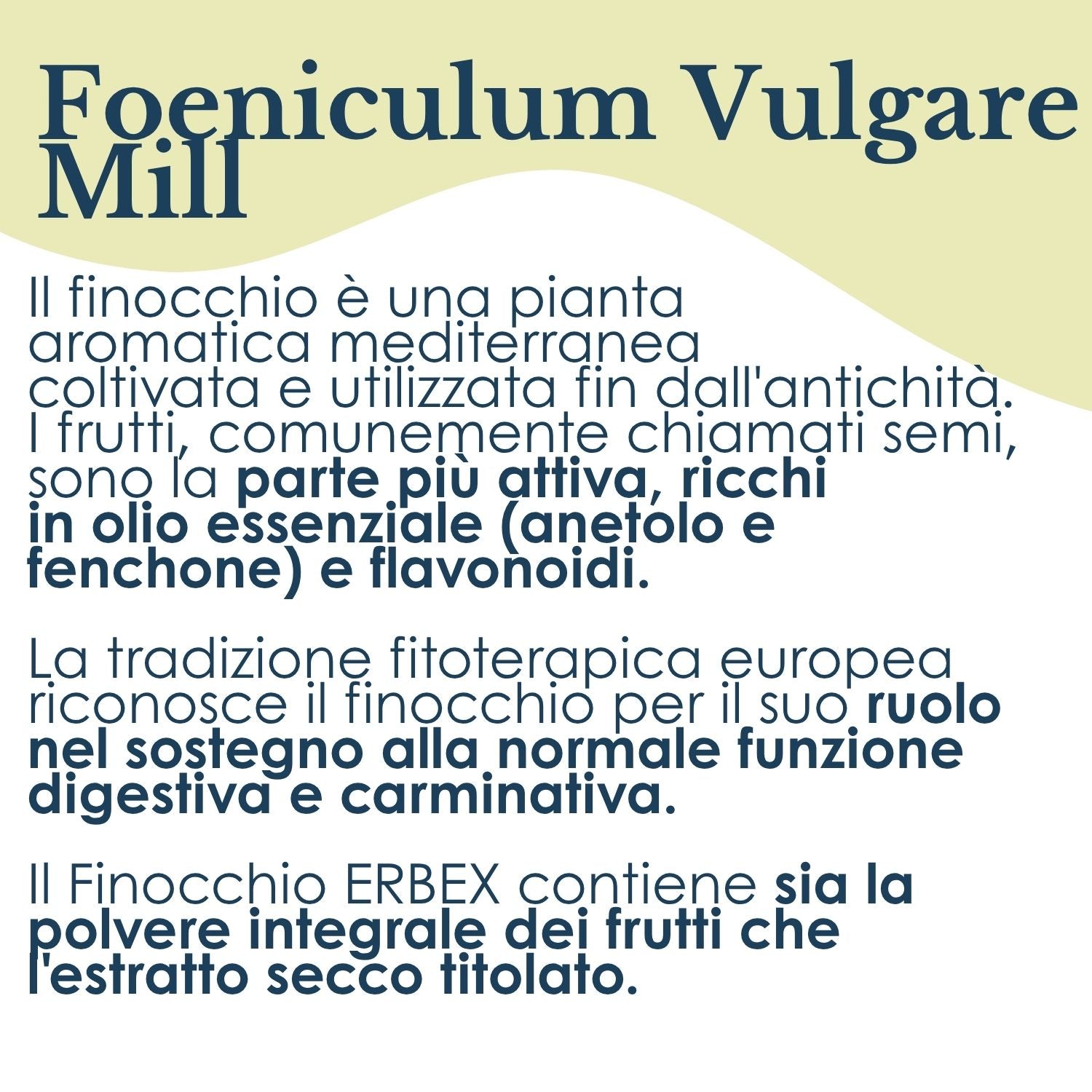 FINOCCHIO 100 CAPUSLE