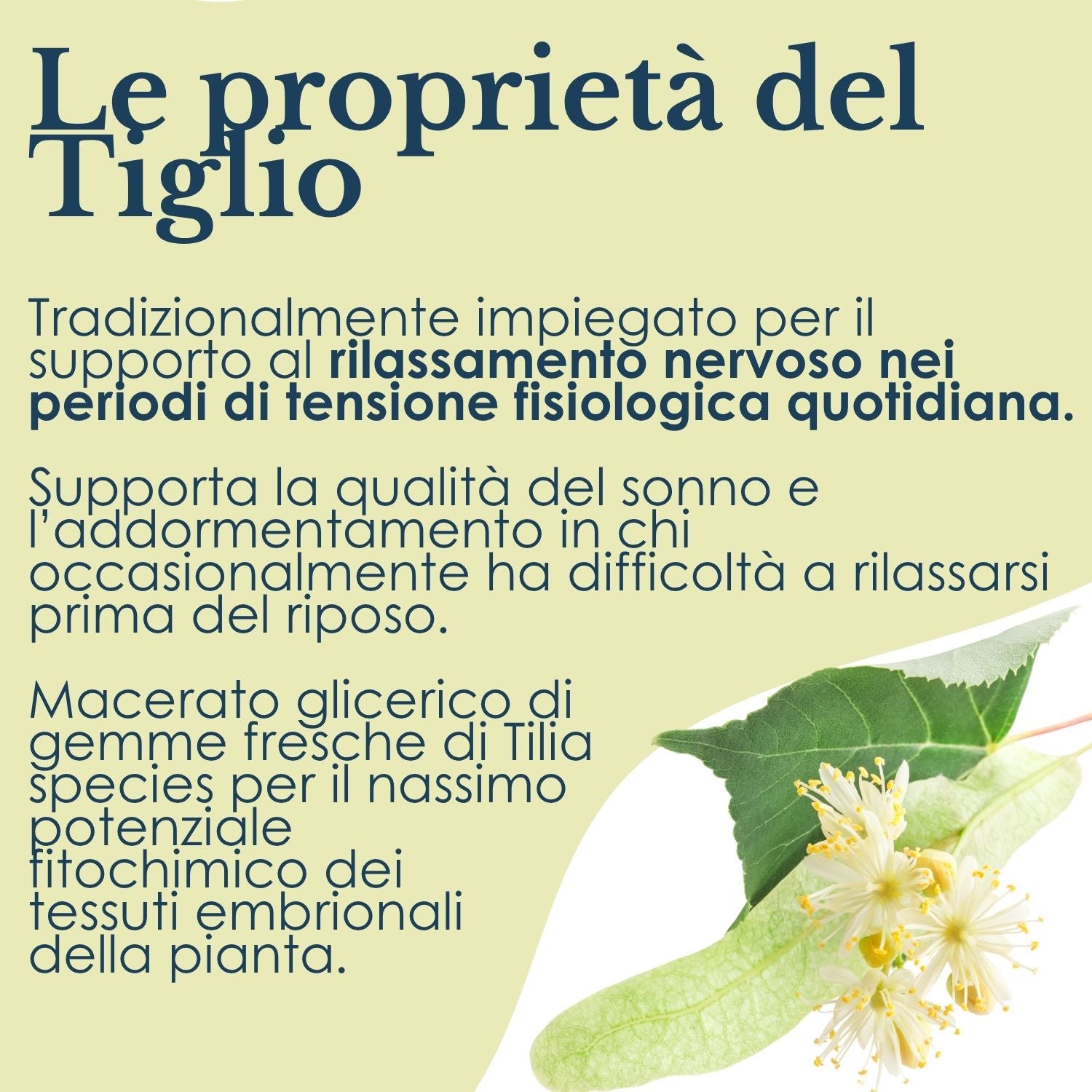 TIGLIO GEMMODERIVATO 50ML
