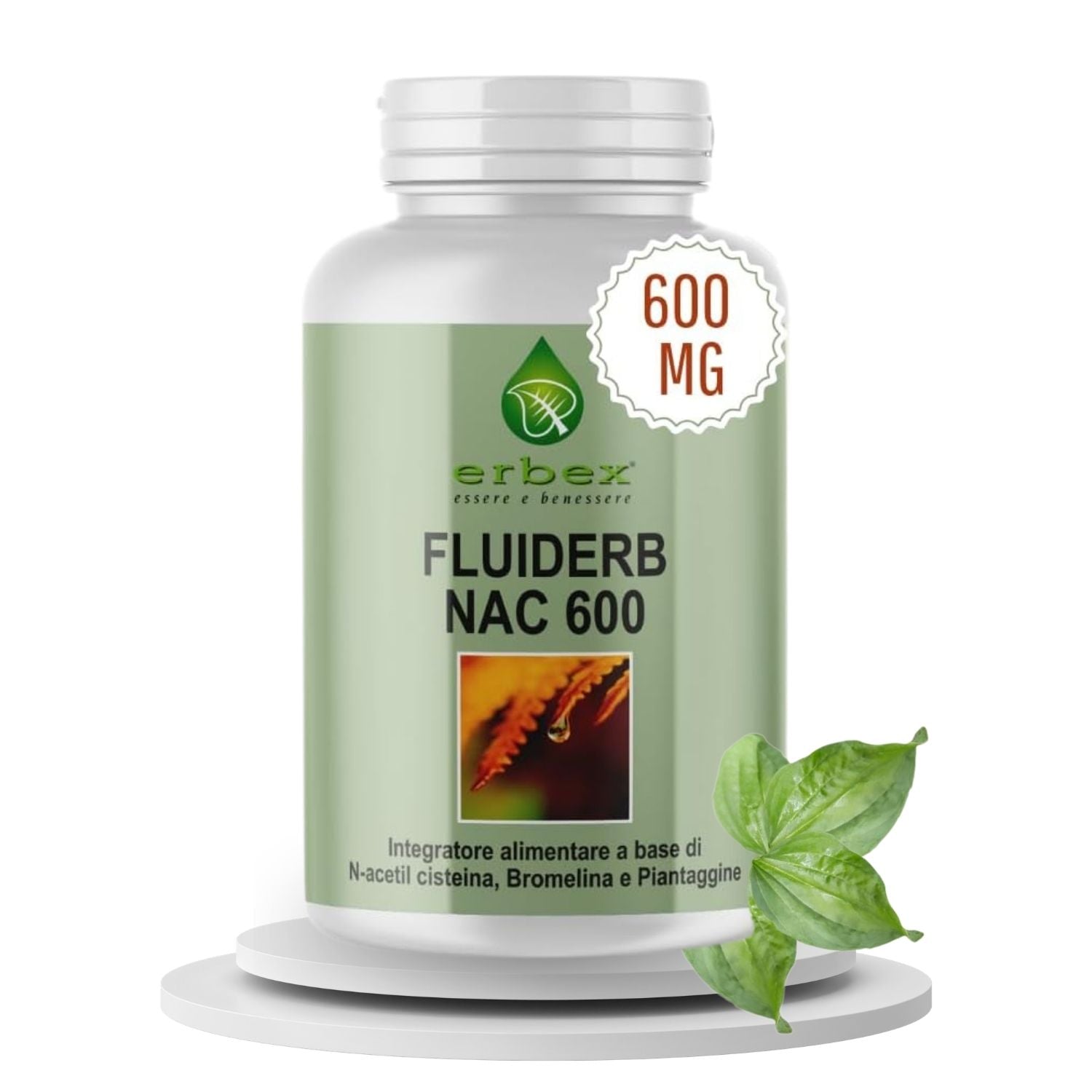 FLUIDERB NAC 600 30 CAPSULE