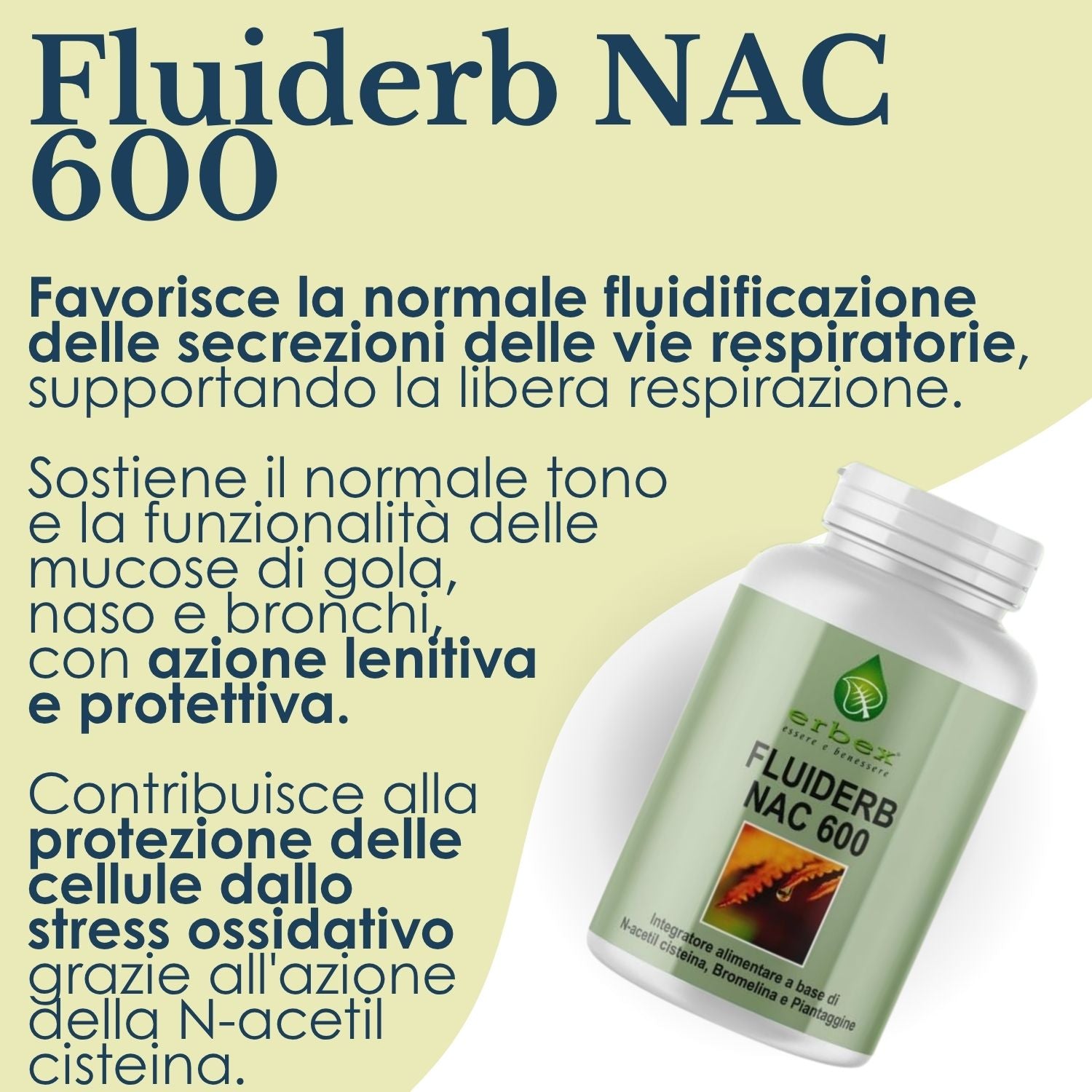 FLUIDERB NAC 600 30 CAPSULE