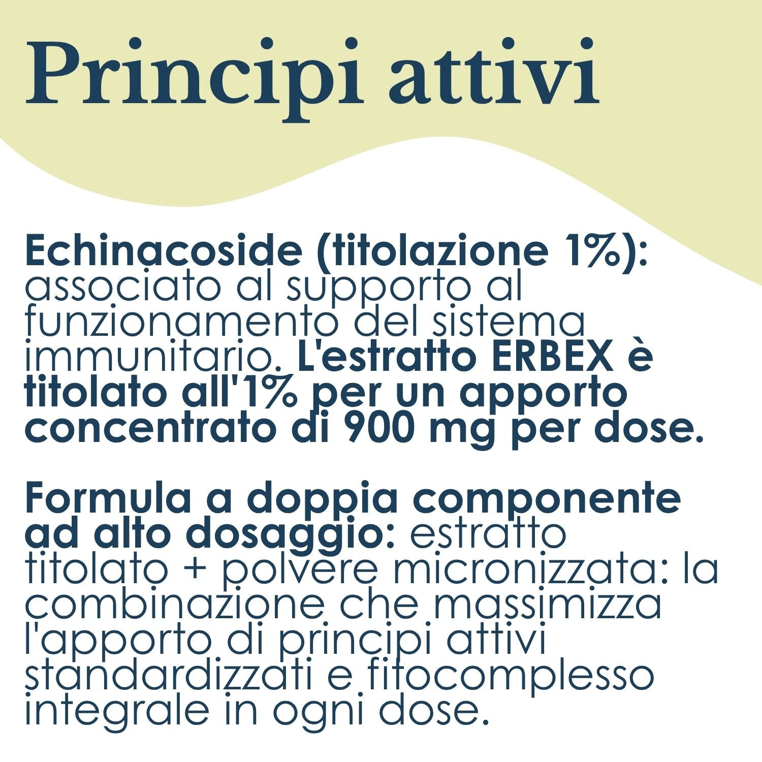 ECHINACEA 100 CAPSULE
