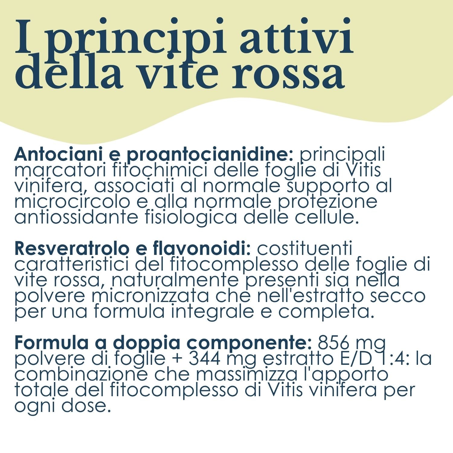 VITE ROSSA 100 CAPSULE