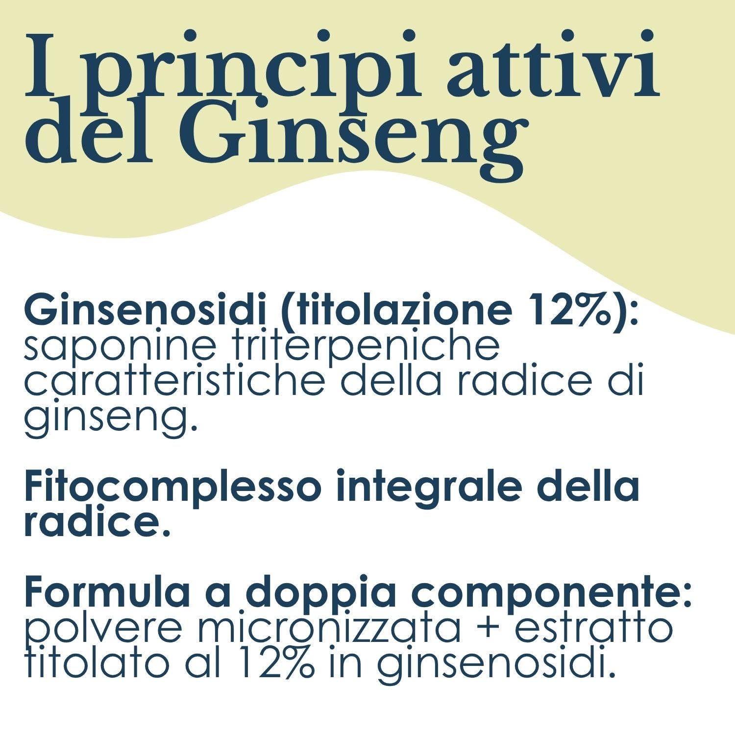 GINSENG 100 CAPSULE