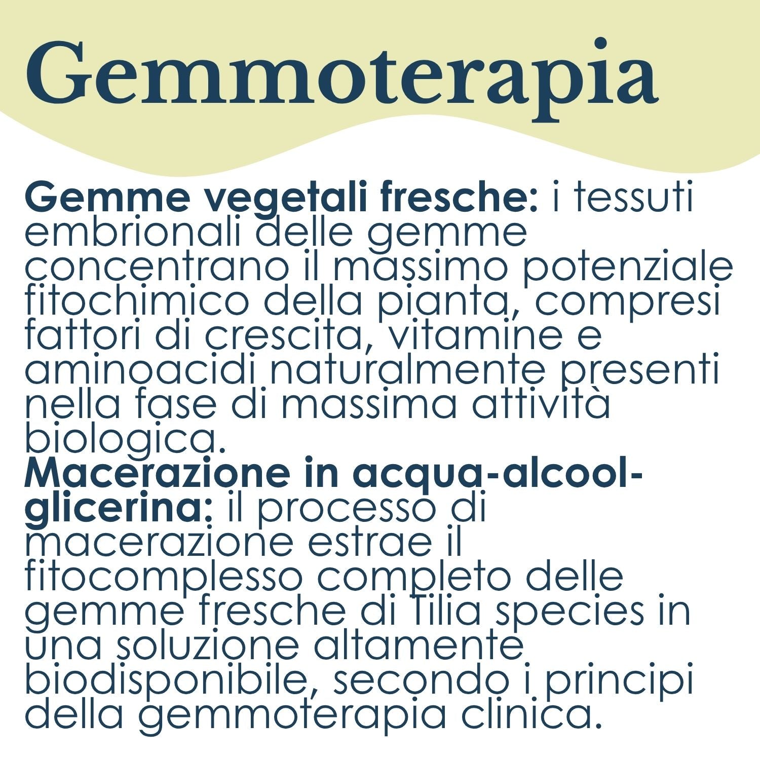TIGLIO GEMMODERIVATO 50ML