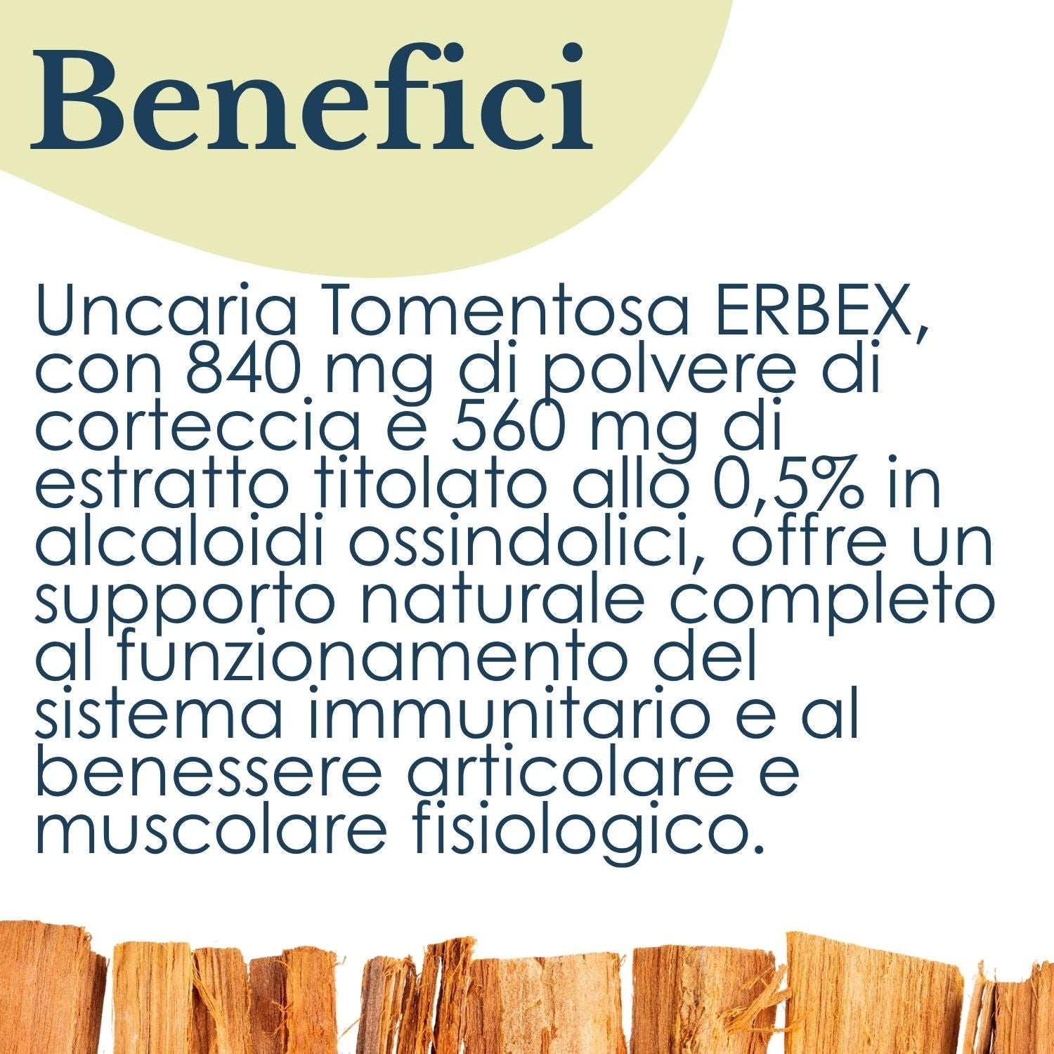 UNCARIA 100 CAPSULE