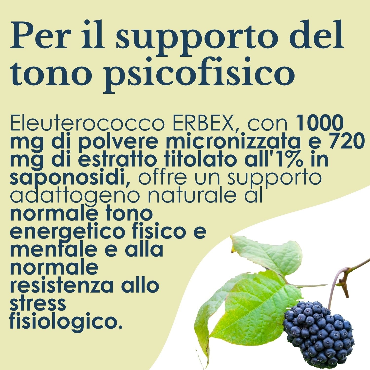 ELEUTEROCOCCO 100 CAPSULE