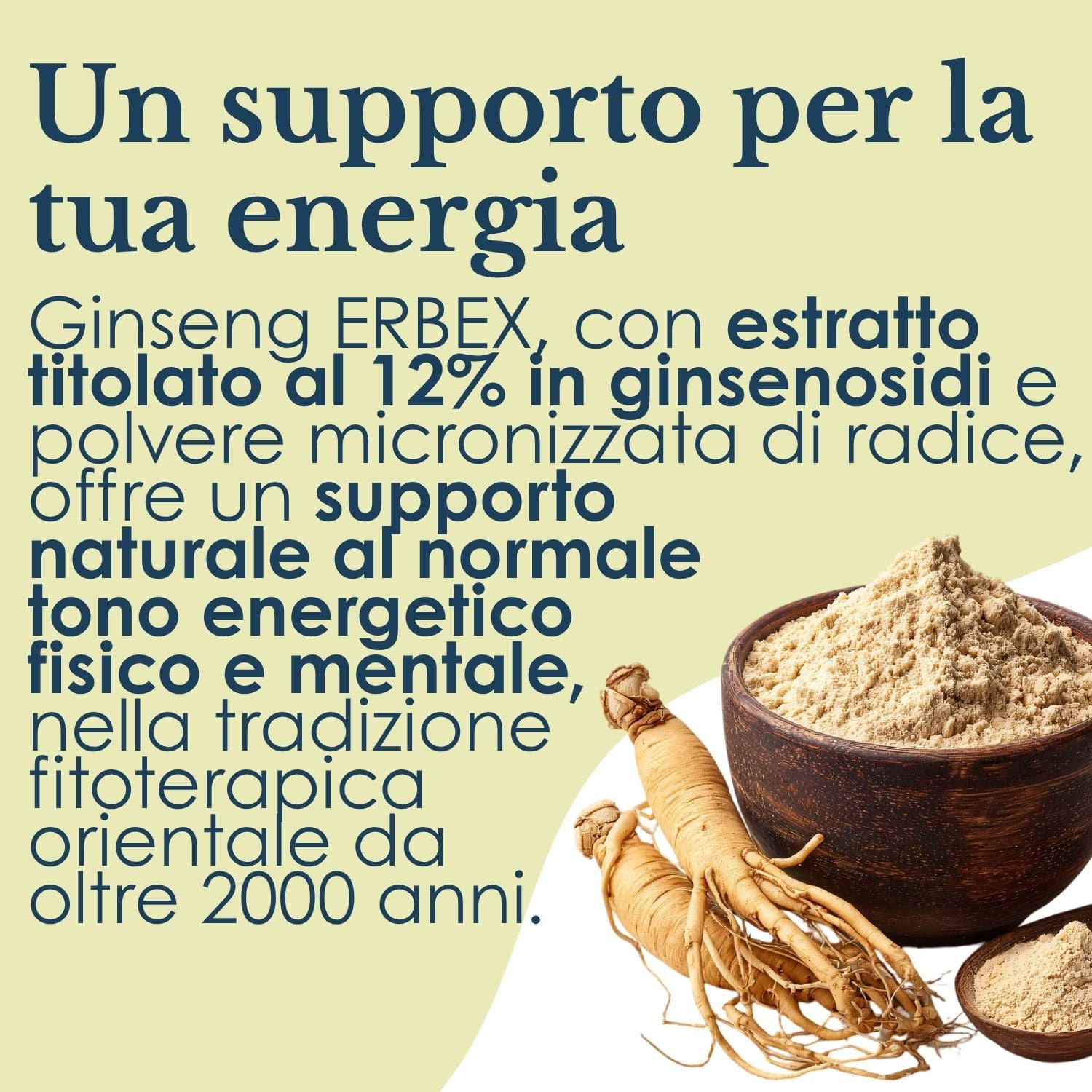 GINSENG 100 CAPSULE