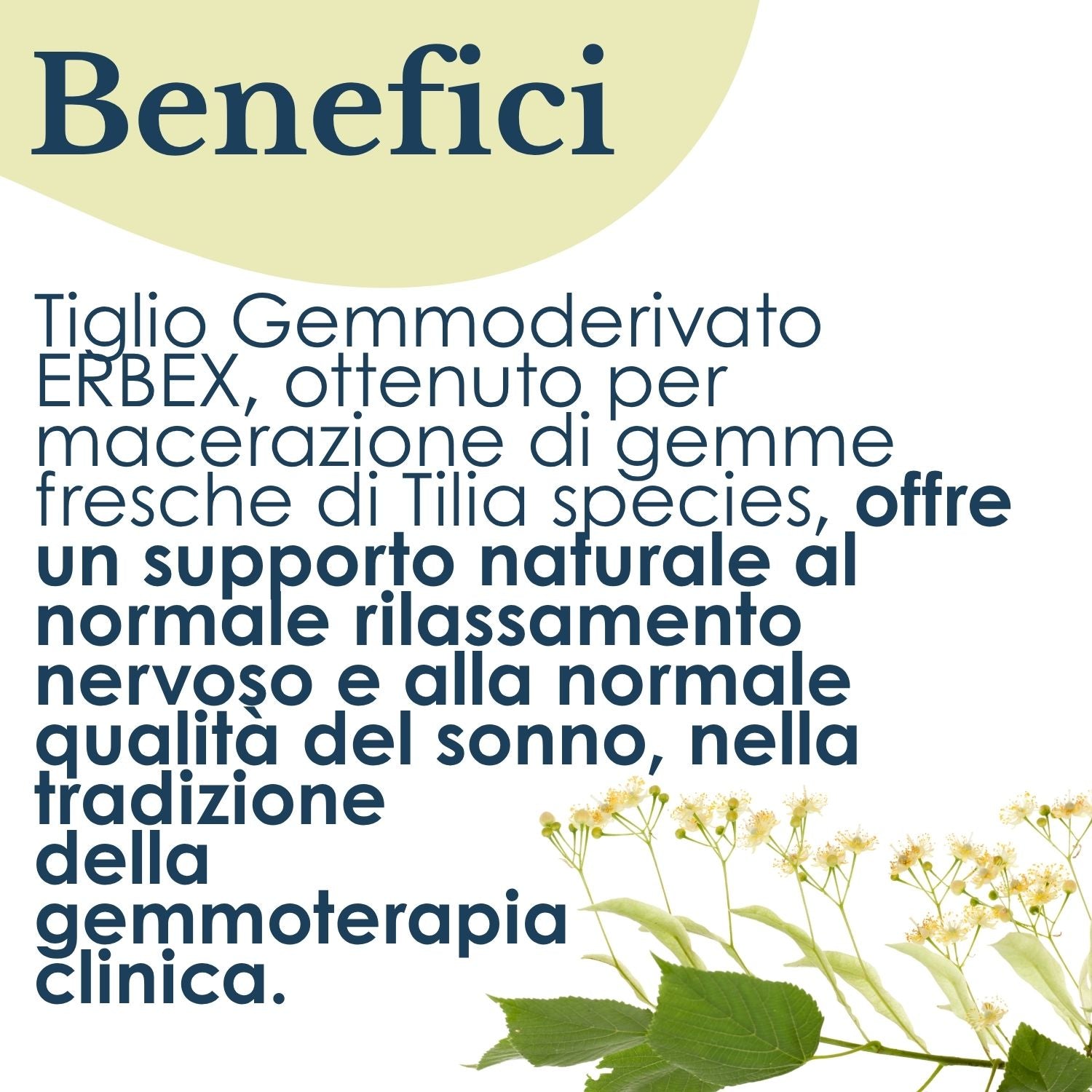 TIGLIO GEMMODERIVATO 50ML