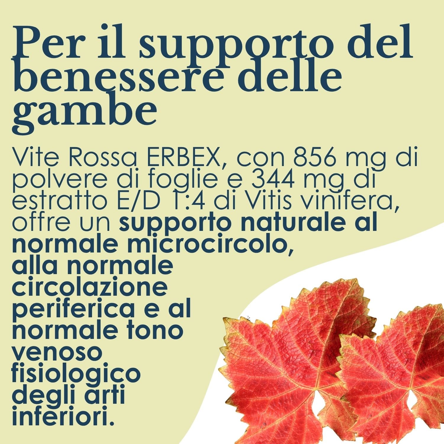 VITE ROSSA 100 CAPSULE