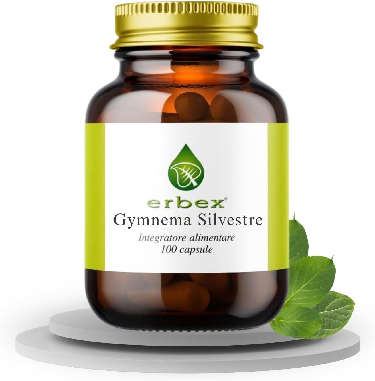 GYMNEMA SYLVESTRE 100 CAPSULE
