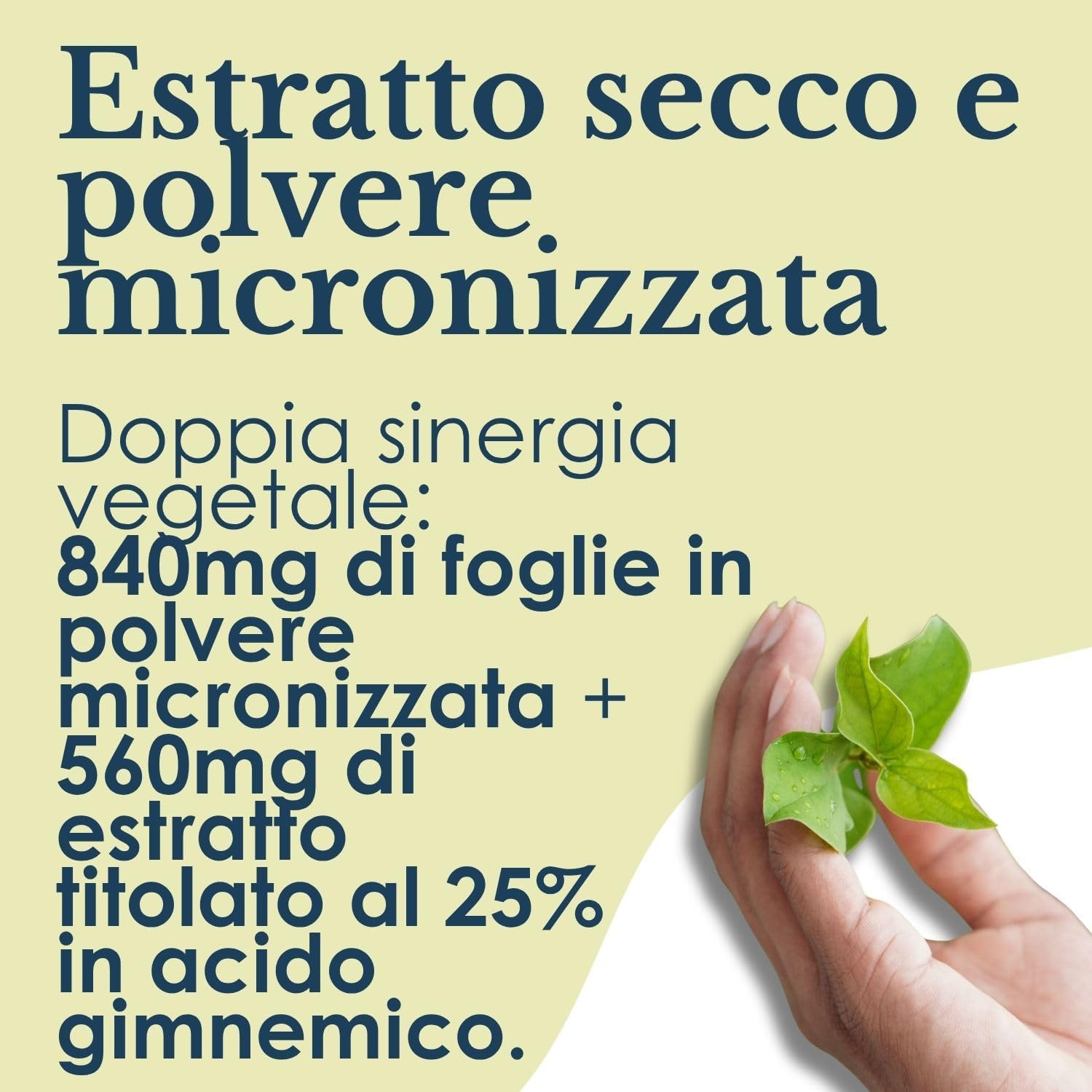 GYMNEMA SYLVESTRE 100 CAPSULE