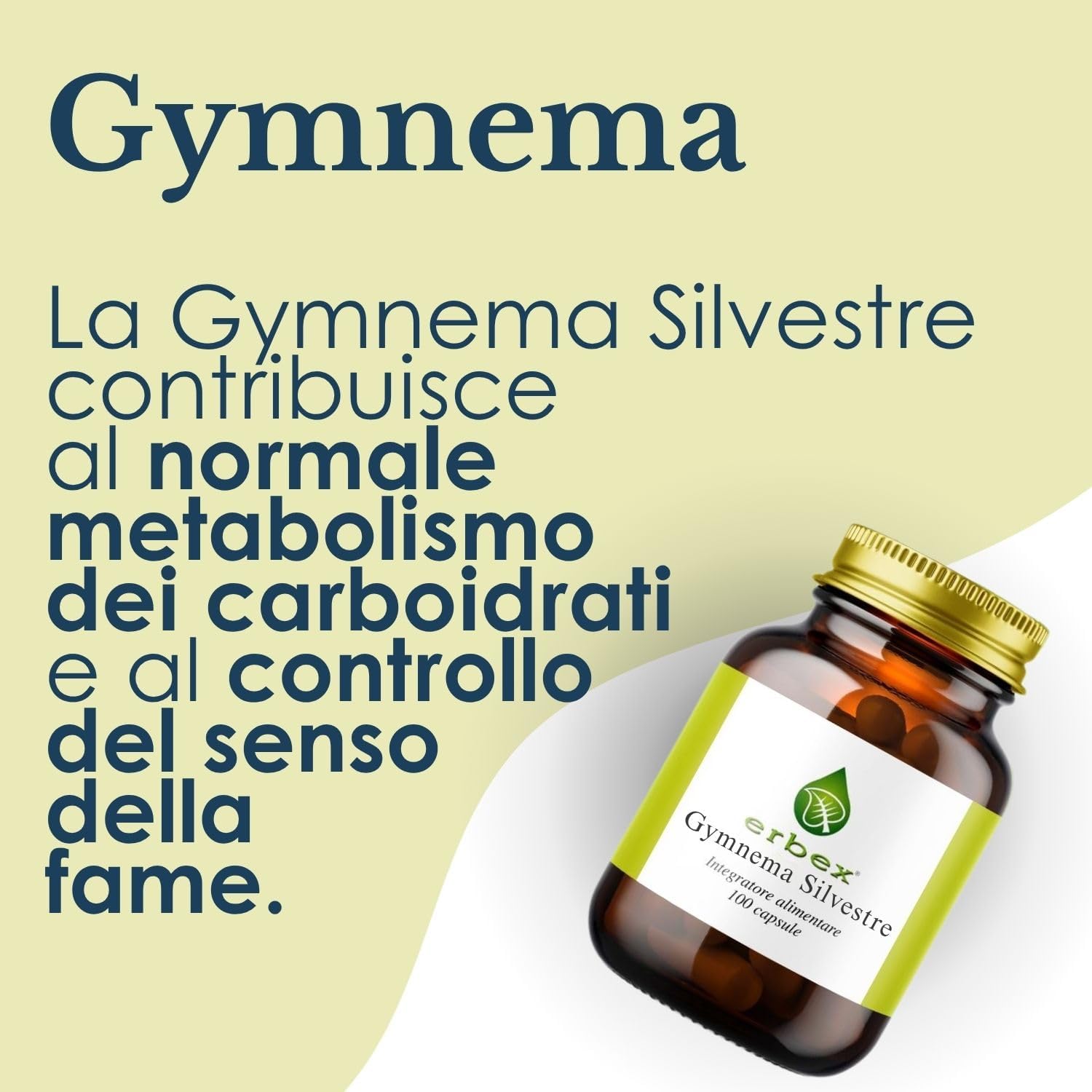 GYMNEMA SYLVESTRE 100 CAPSULE