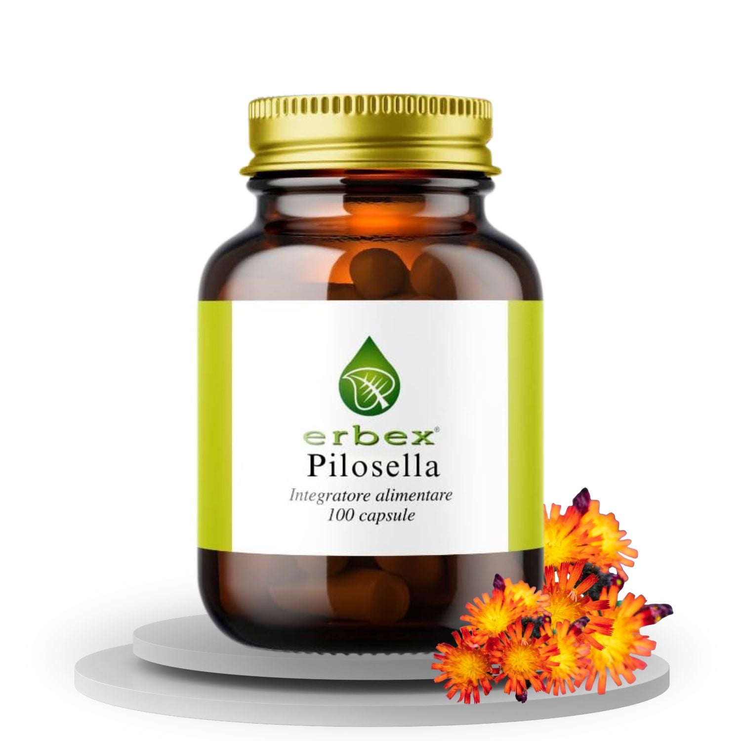 PILOSELLA 100 CAPSULE
