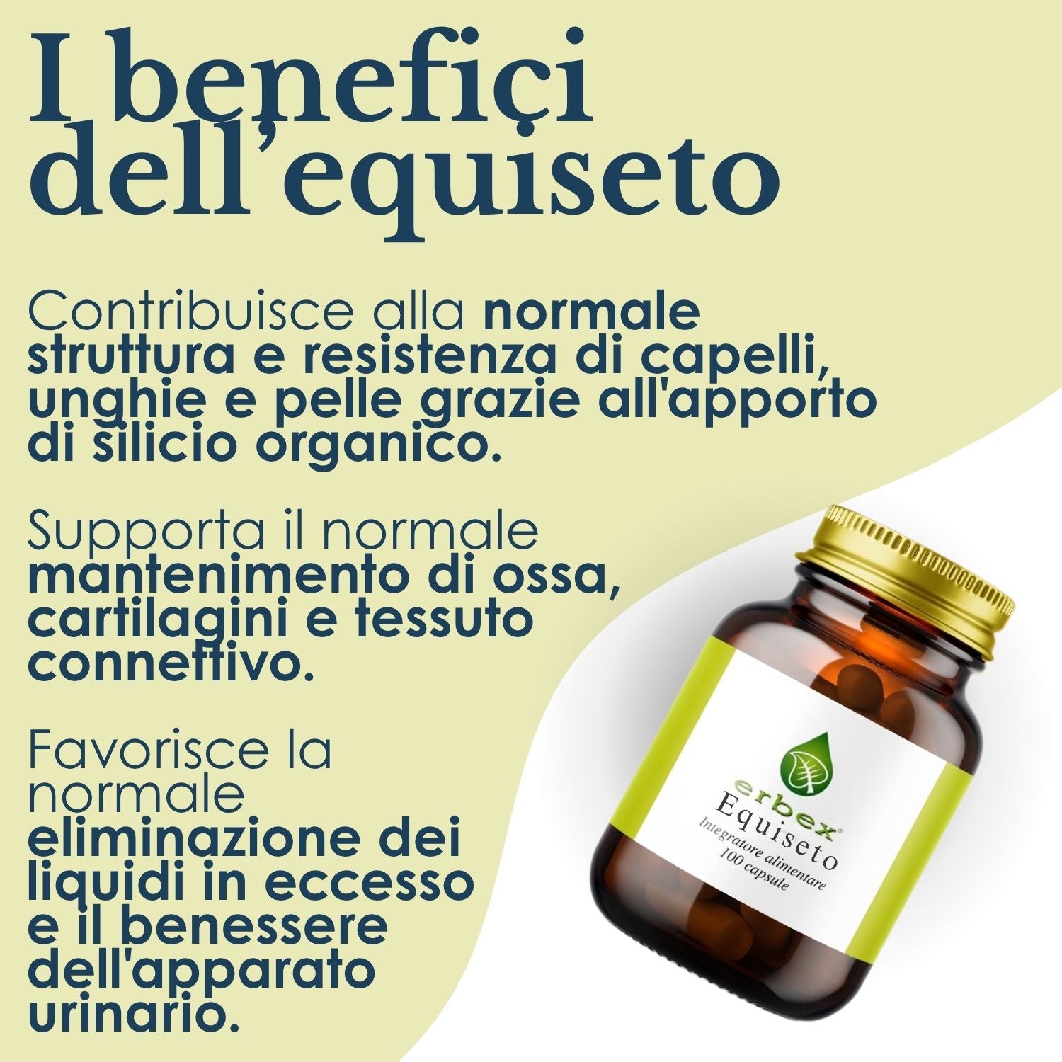 EQUISETO ERBEX 100 CAPSULE