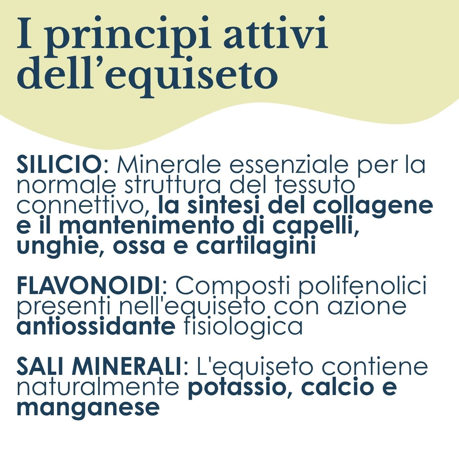 EQUISETO ERBEX 100 CAPSULE