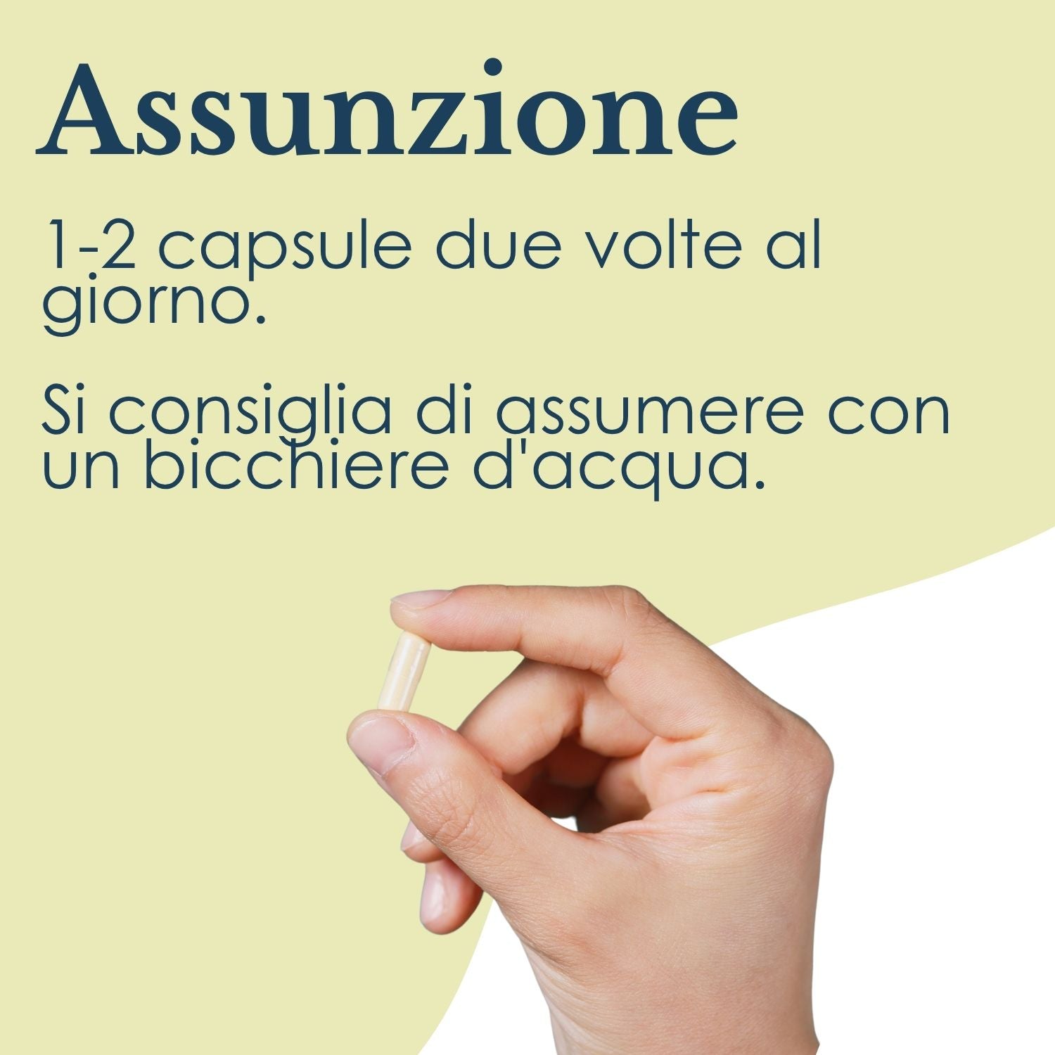 EQUISETO ERBEX 100 CAPSULE