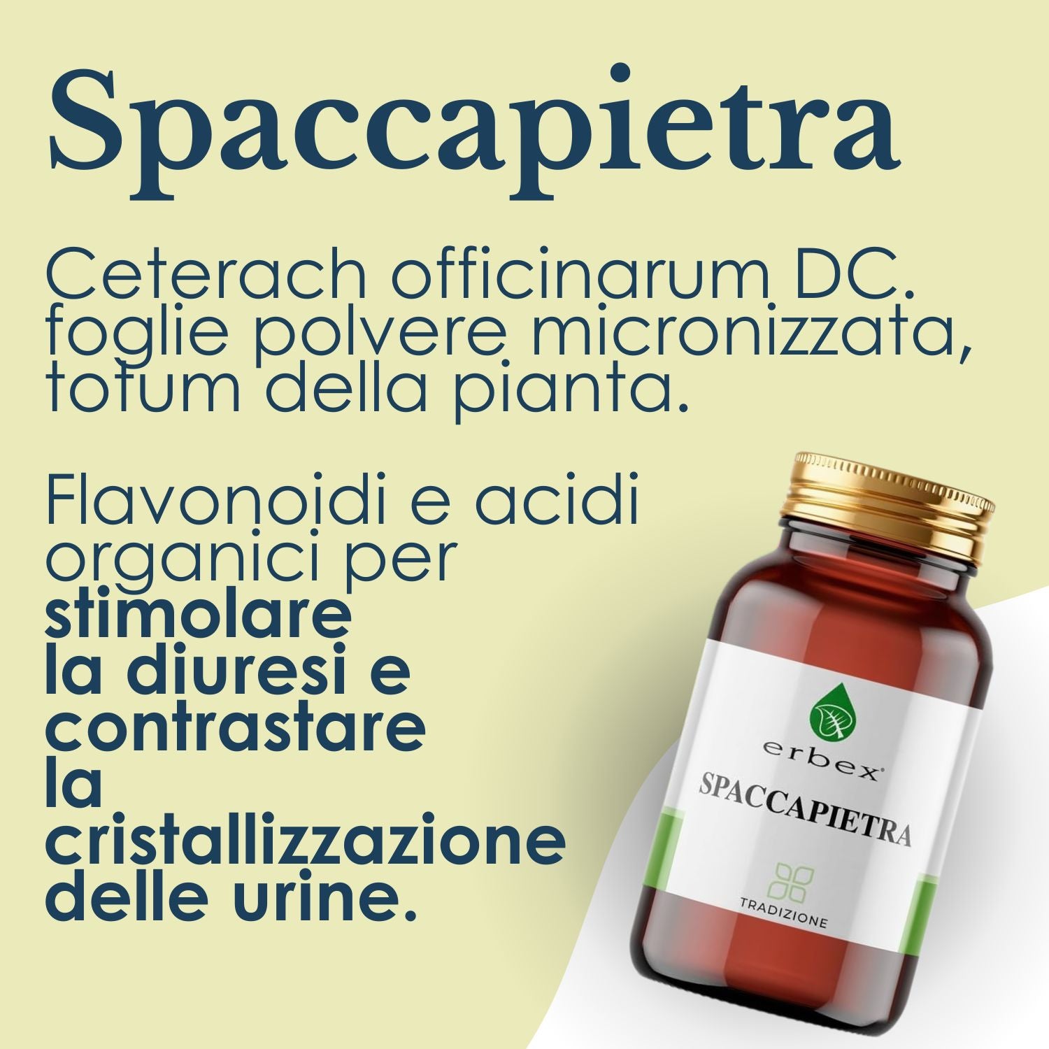 SPACCAPIETRA 160 COMPRESSE