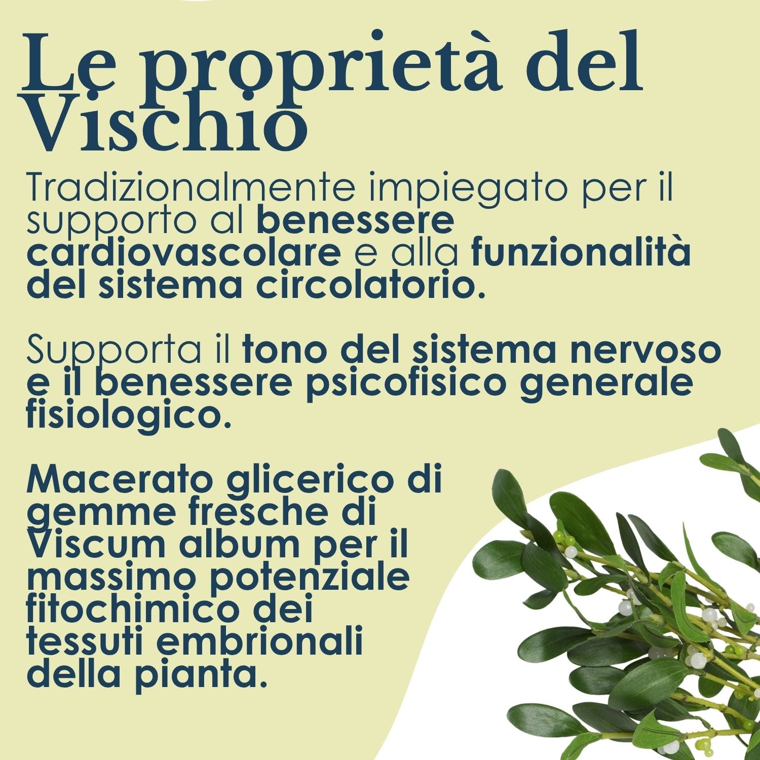VISCHIO GEMMODERIVATO 50ML