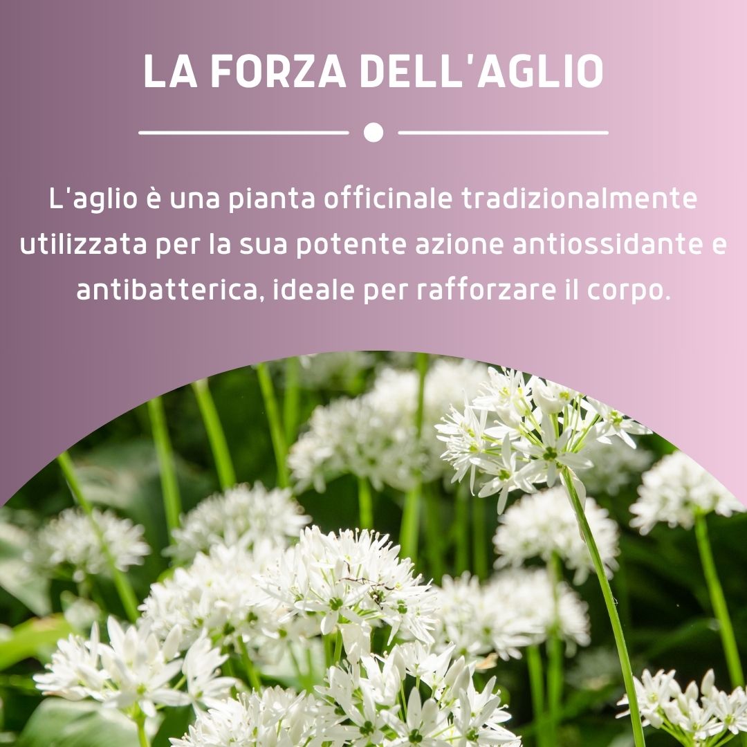 AGLIO PURO INODORE 100 CAPSULE