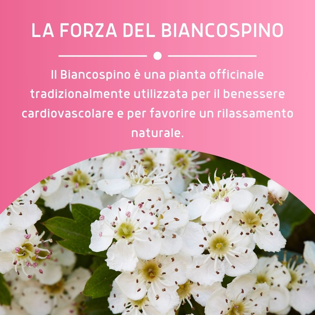 BIANCOSPINO GEMMODERIVATO 50ML